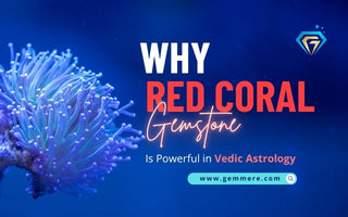 Why Red Coral Gemstone Is Powerful in Vedic Astrology